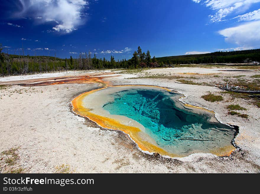 Biscuit Basin Spring Scenic Area in South Yellowstone National Park.