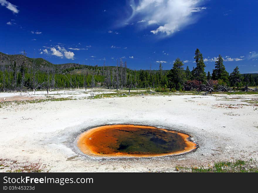 Biscuit Basin Spring Scenic Area in South Yellowstone National Park.