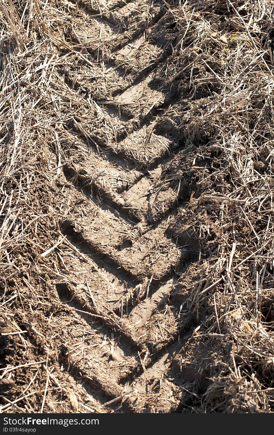 Industrial tractor footprint on agricultural field