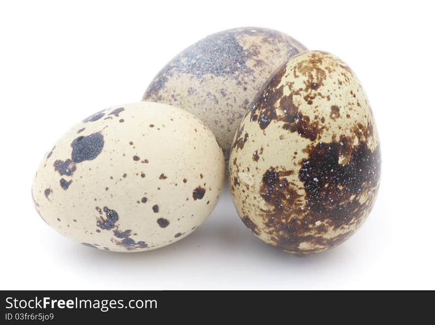 Partridge eggs