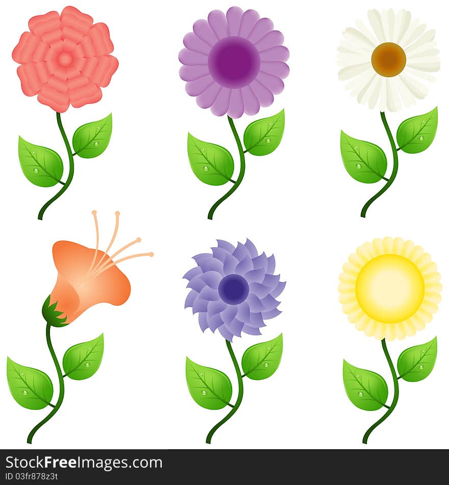 Illustration of different flowers on white background