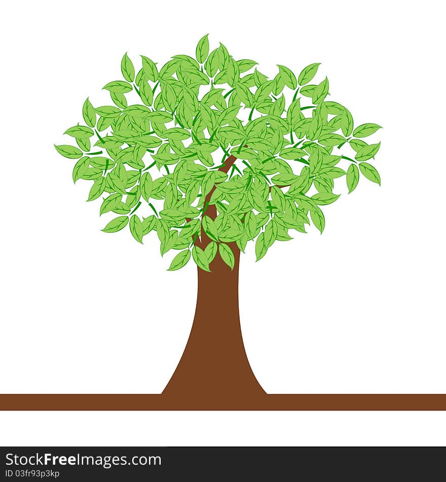 Illustration of natural tree on white background