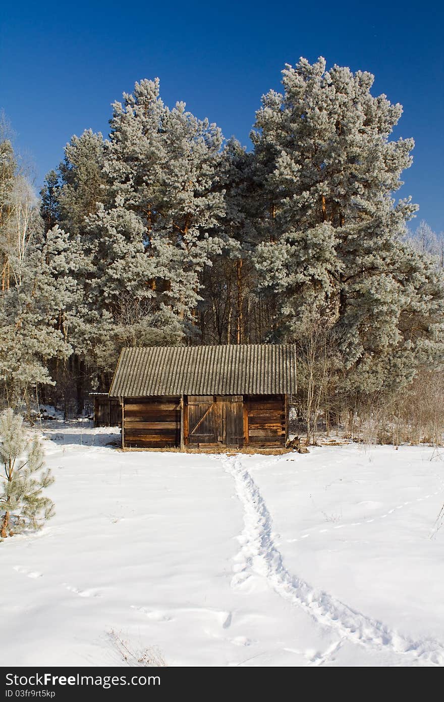 The footpath conducting to a small wooden building in wood. The footpath conducting to a small wooden building in wood