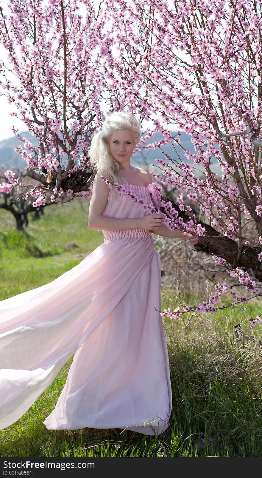 Outdoor shot of Young pretty blond woman wearing pink dress in blooming garden. Outdoor shot of Young pretty blond woman wearing pink dress in blooming garden