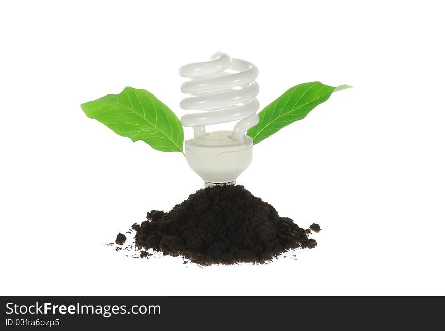 A fluorescent light bulb growing in soil with a green leaf. A fluorescent light bulb growing in soil with a green leaf.