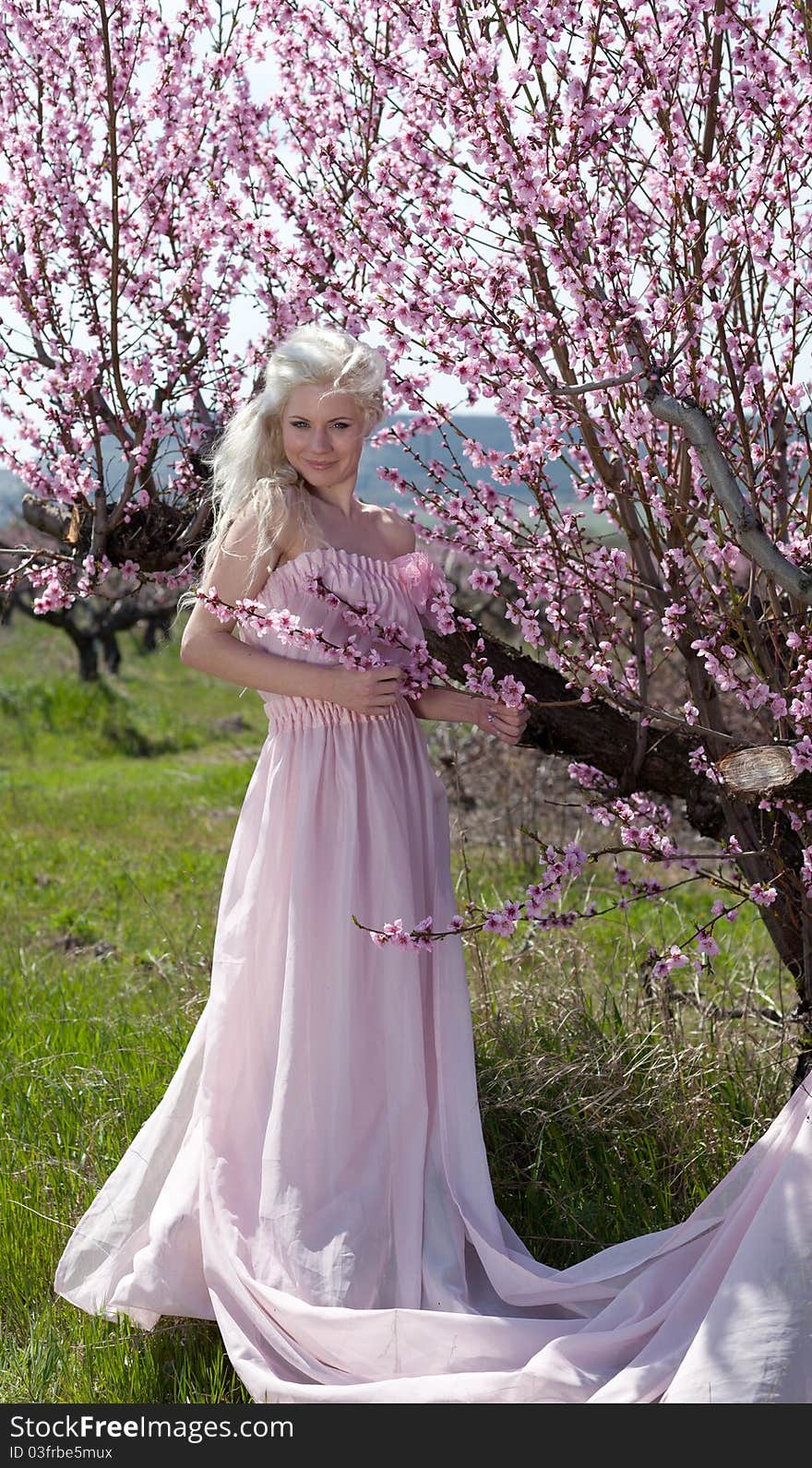 Outdoor shot of Young pretty blond woman wearing pink dress in blooming garden. Outdoor shot of Young pretty blond woman wearing pink dress in blooming garden