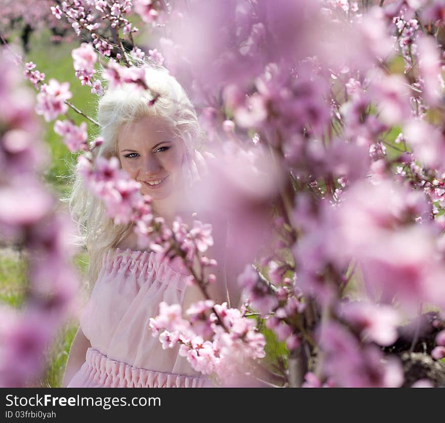 Portrait of Young pretty blond woman wearing pink dress in peach blooming garden. Portrait of Young pretty blond woman wearing pink dress in peach blooming garden