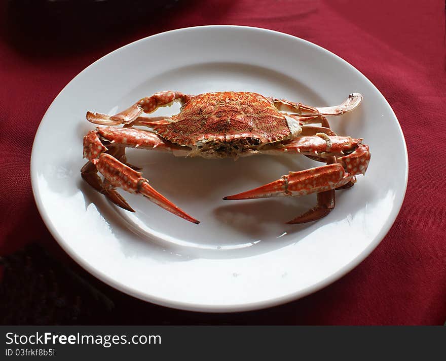 Boiled red crab on the white plate. Boiled red crab on the white plate.