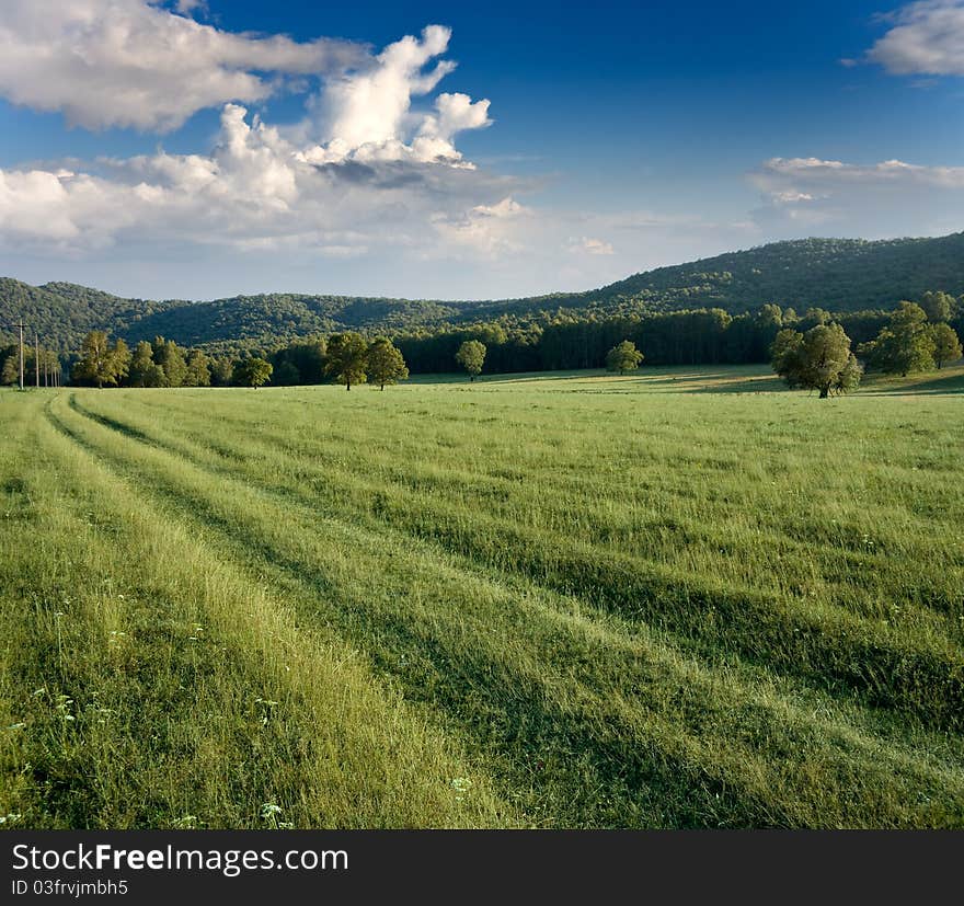 Green meadows and forested hills