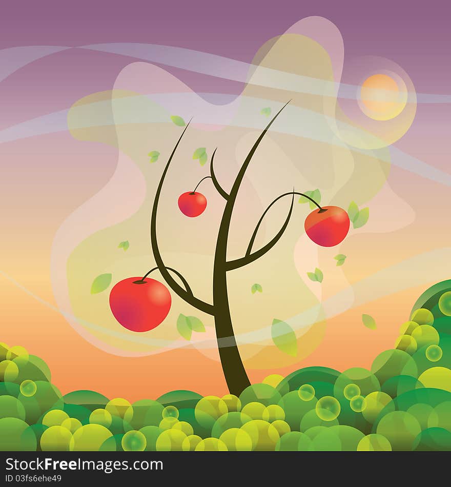 An apple tree