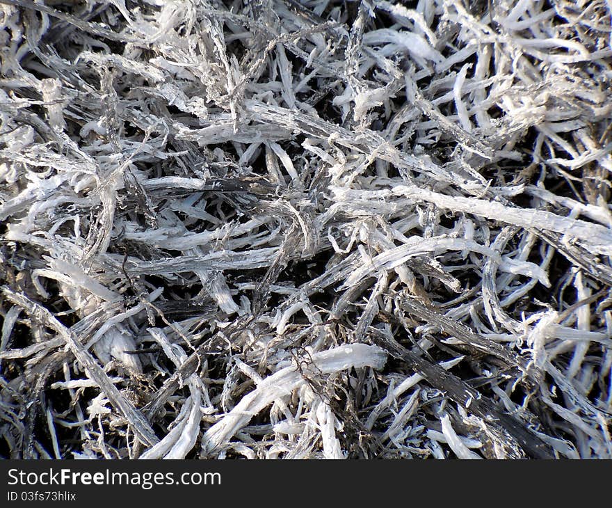 Ashes of burnt grass on the field