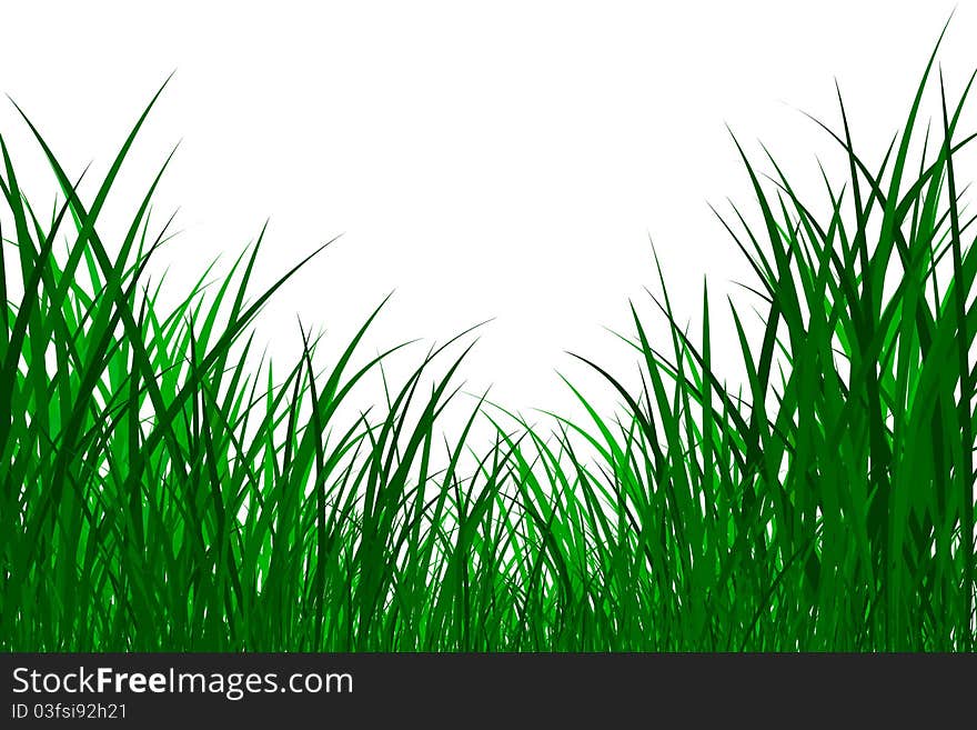 Green grass illustrated on white background. Green grass illustrated on white background