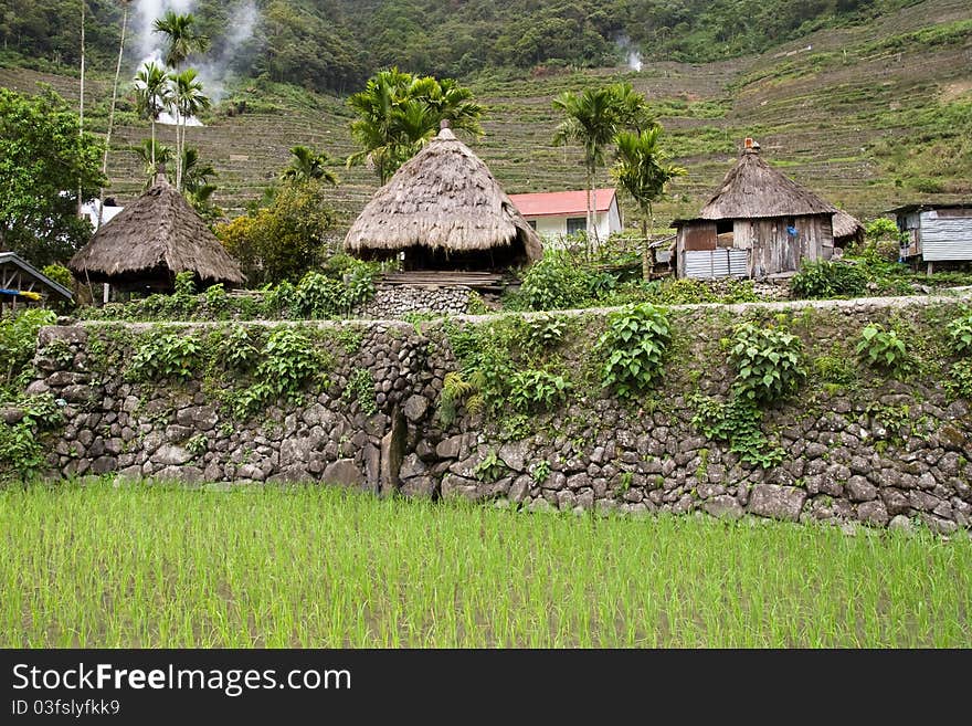 Traditional village surrounded by rice fields registered at the Unesco world heritage, in Luzon Island, Philippines