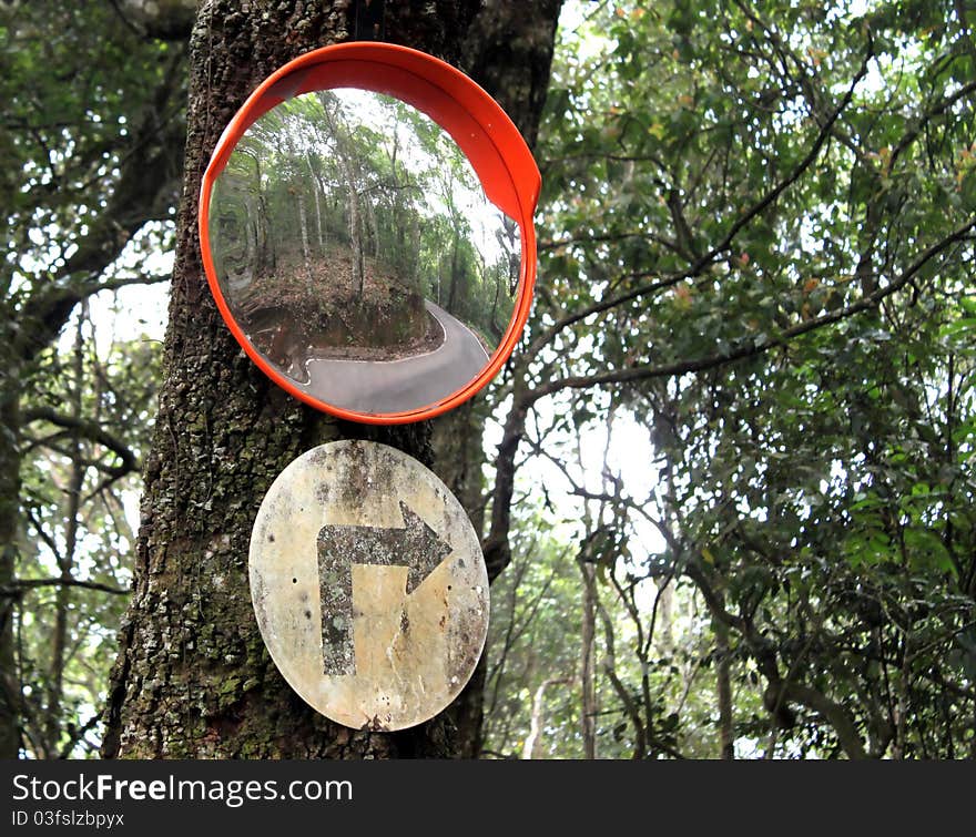 Curved Road Traffic Sign and mirror