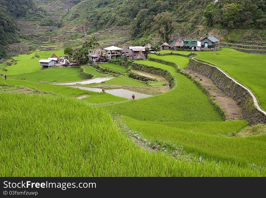 Traditional village surrounded by rice fields registered at the Unesco world heritage, in Luzon Island, Philippines