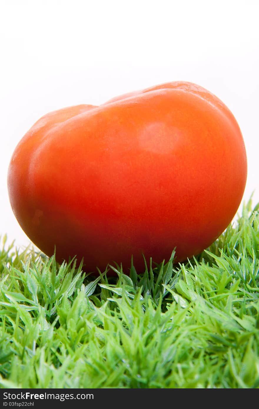 Red Fresh Tomato on Green Grass