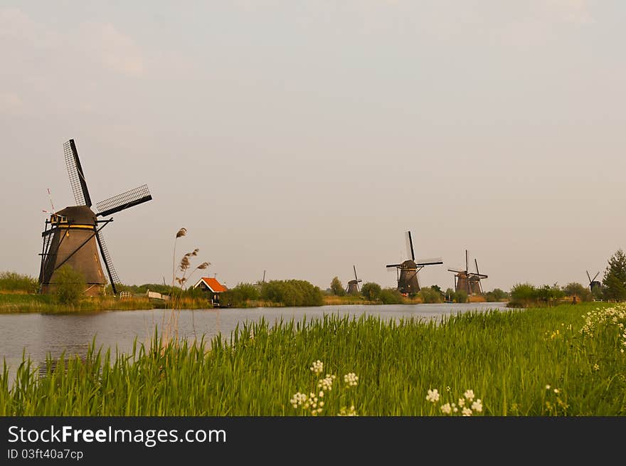 Windmills In Kinderdijk, Netherlands