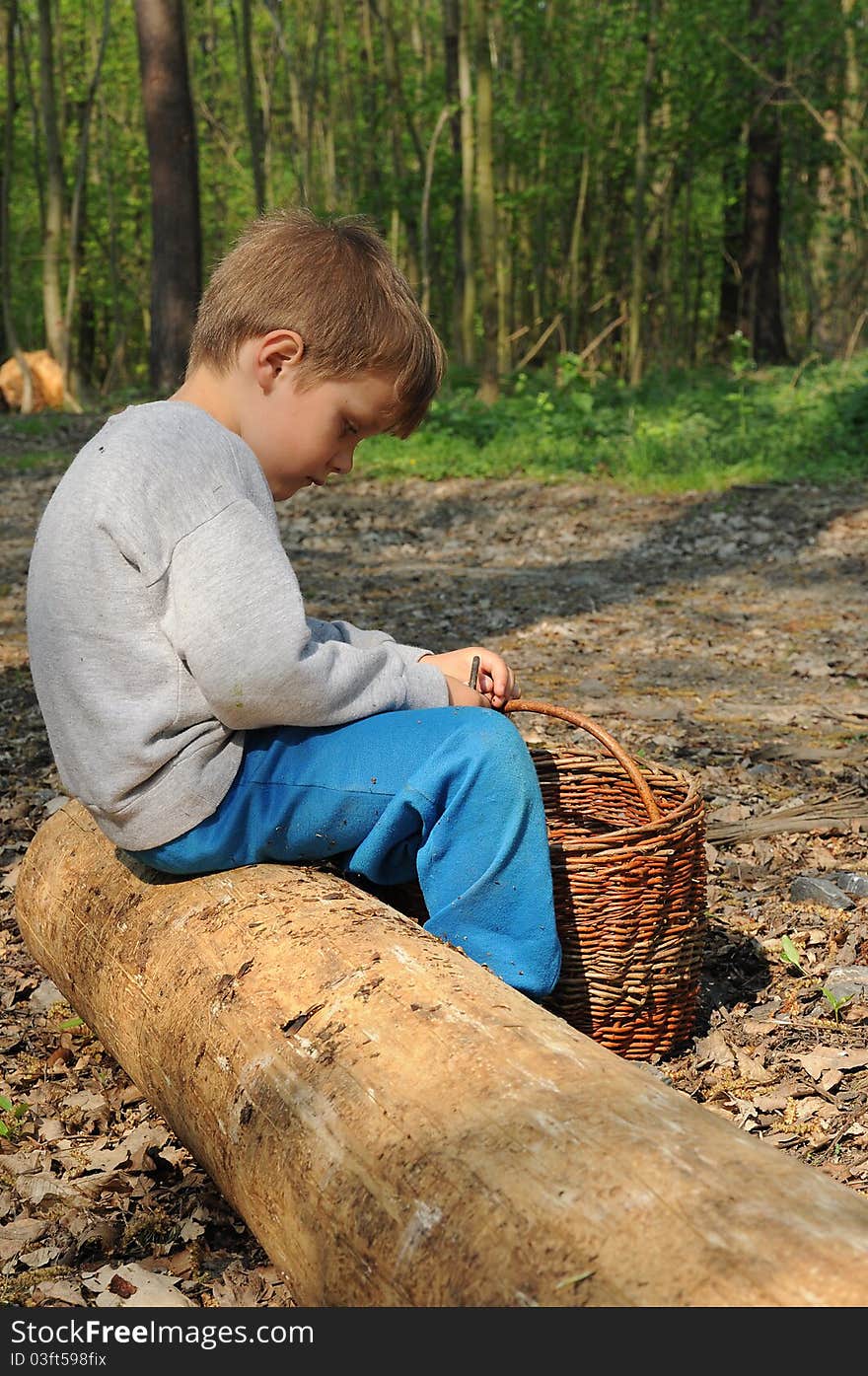 Boy Sitting On Trunk