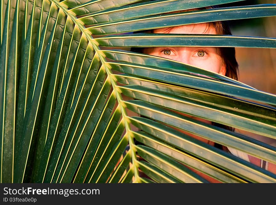 Palm Tree And The Woman