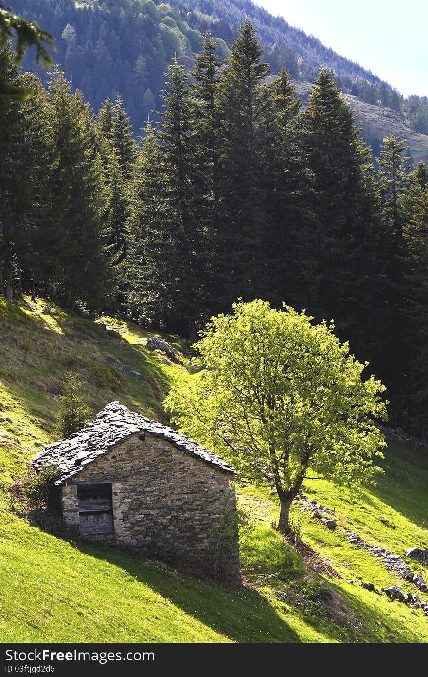 House in the meadow