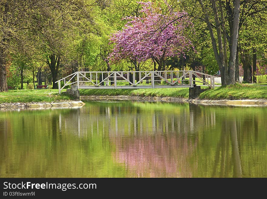 Colorful trees over lake with reflection. Colorful trees over lake with reflection