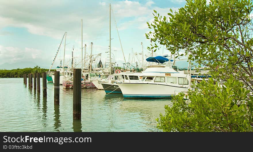 Boats tied to the post at the Cairns harbor