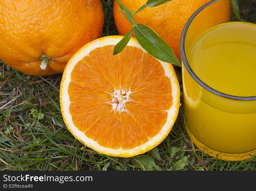 Orange juice