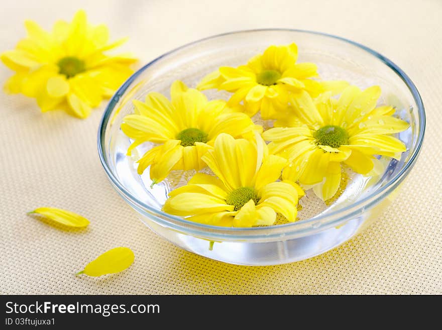 Yellow flowers in glass bowl. Spa background