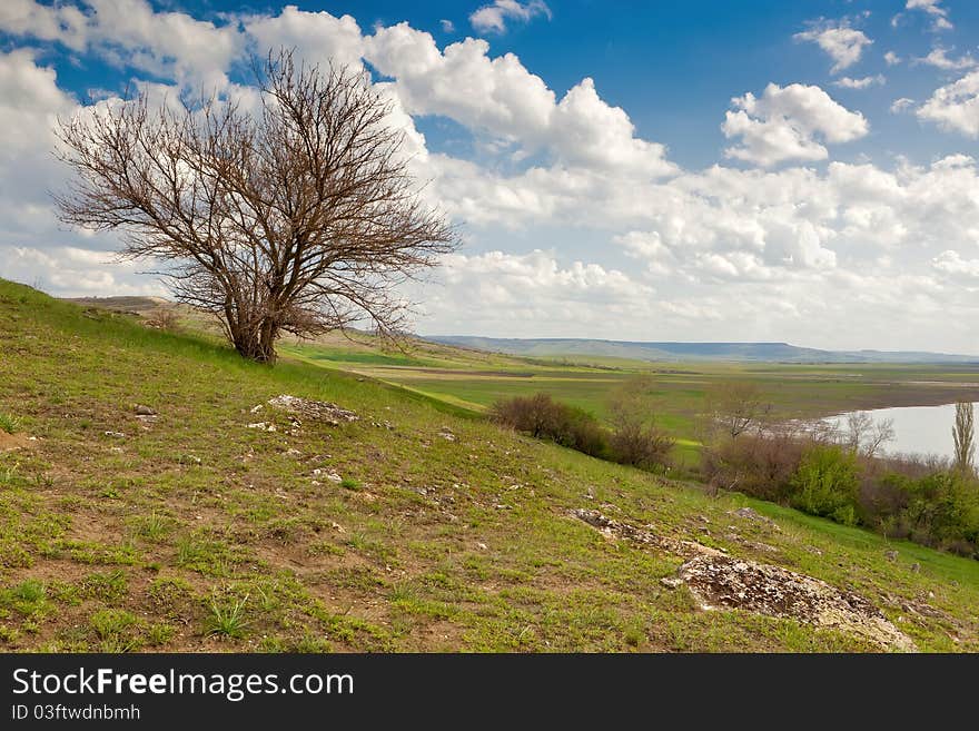 Tree on the hill with perspective view to the valley