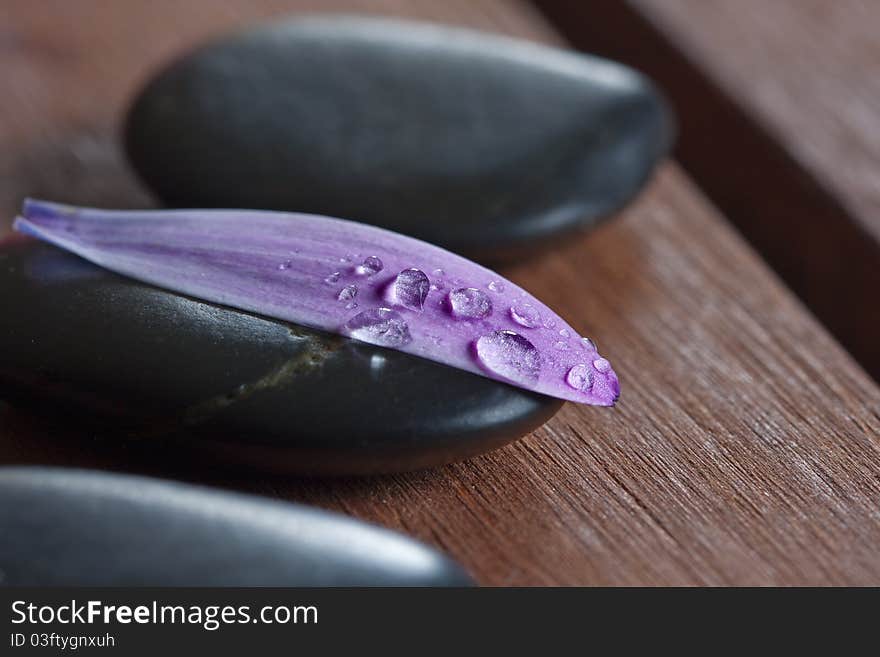 Flower petal with water drops on stone, sleep and health concept. Flower petal with water drops on stone, sleep and health concept