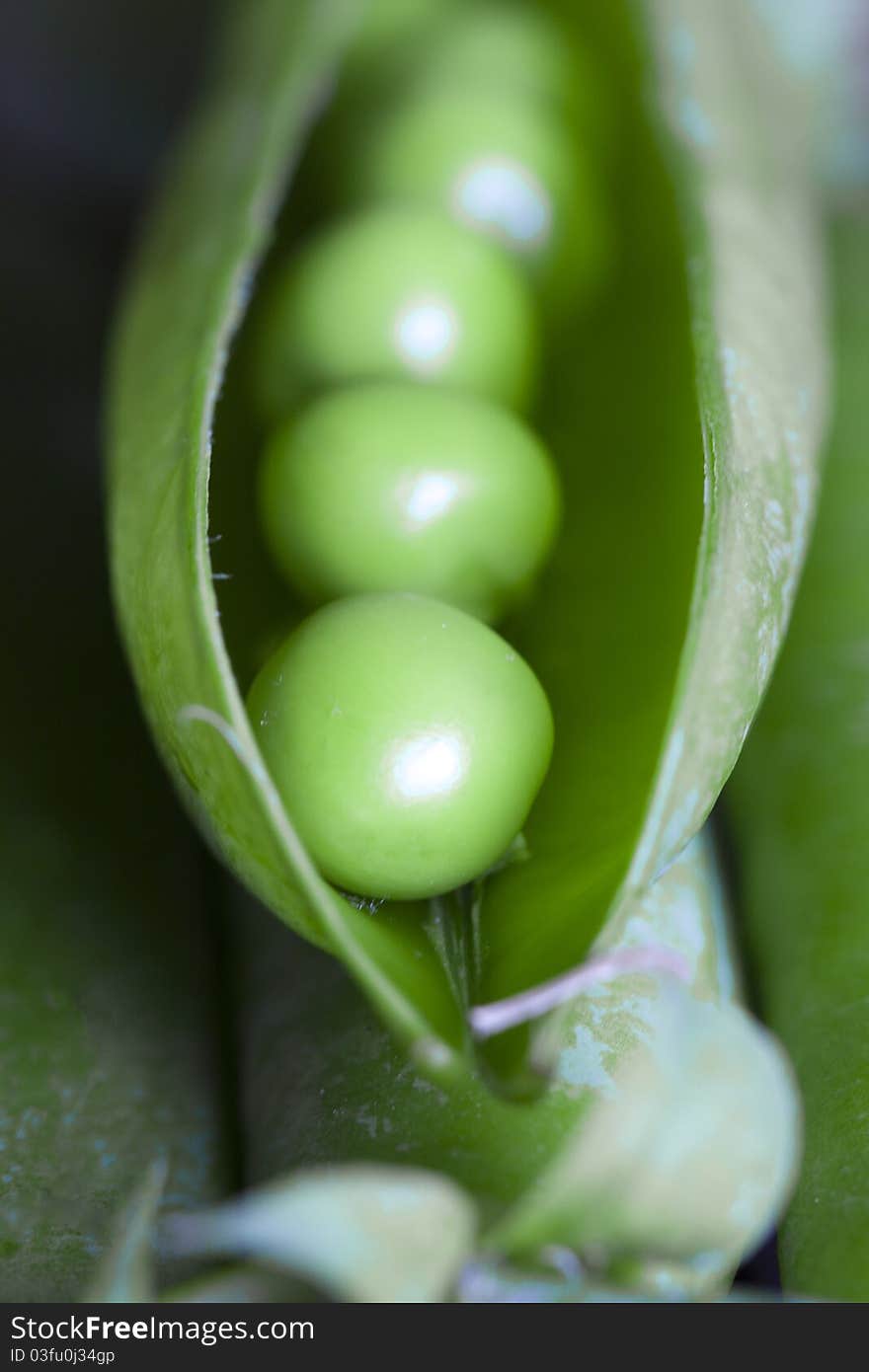 Peas, vegetables and natural ingredients, macro