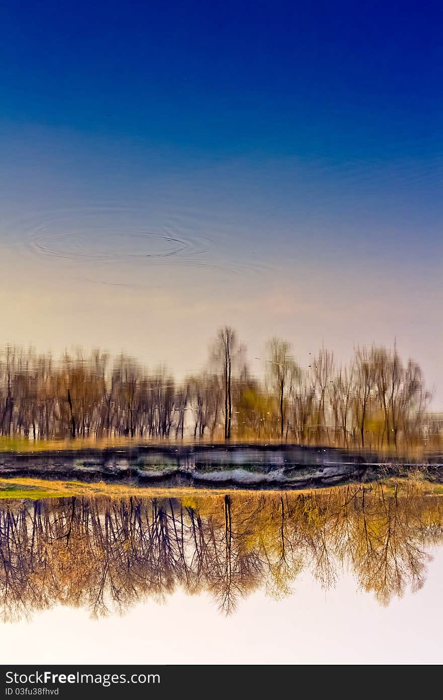 Spring forest river with reflection of the sky