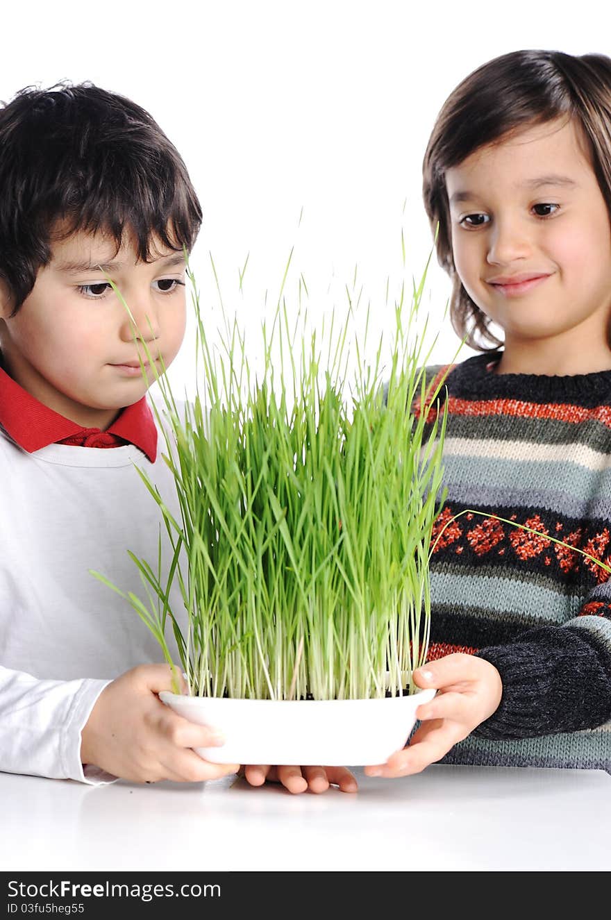 Two Boys With Green Grass