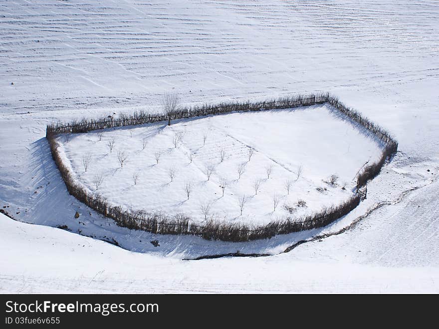 Country garden in the foothills of Winter. Country garden in the foothills of Winter