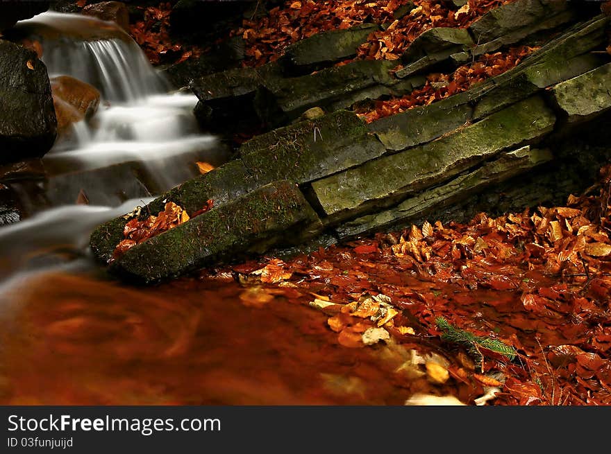 Autumn stream with leaves and rocks.