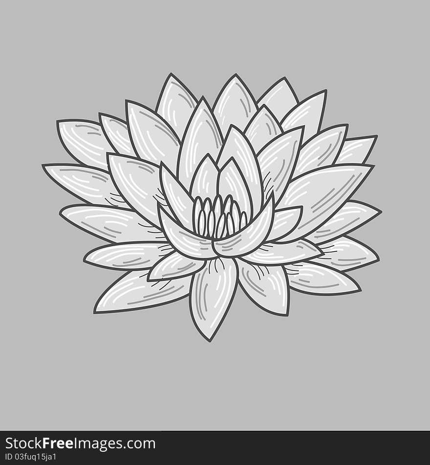 Lotus