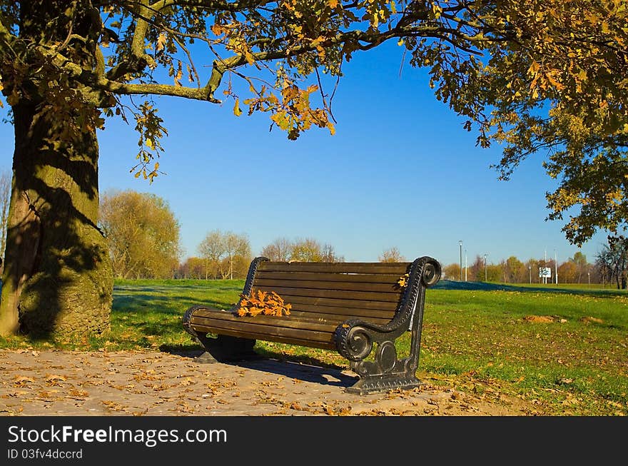 Bench in autumn park