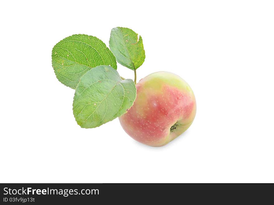 Three ripe apple. juicy apples. Small red apples. Forest apples. Fruit on a white background.