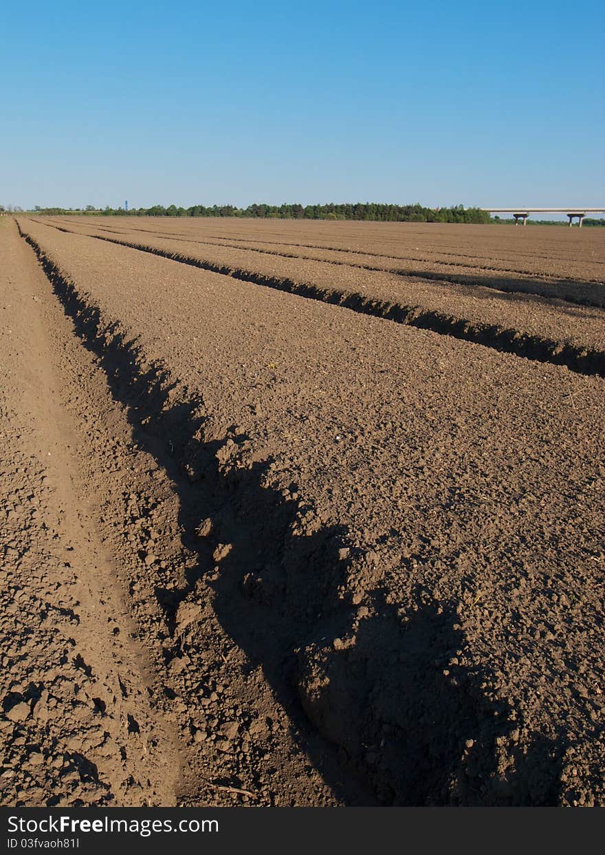 Freshly prepared and sown field, casting shadows in the afternoon sun. Freshly prepared and sown field, casting shadows in the afternoon sun.