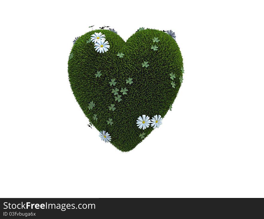 A Heart made of green grass, clover and buttercup isolated over white. A Heart made of green grass, clover and buttercup isolated over white