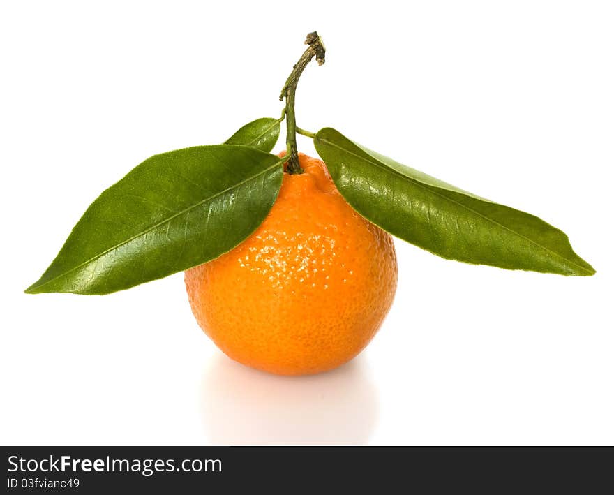 Ripe tangerine with green leaves on a white background