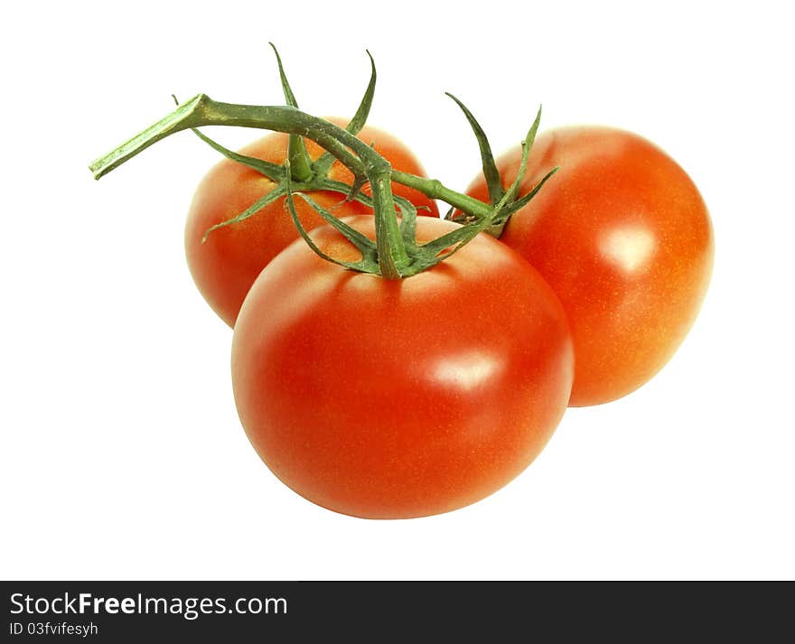 Three red ripe tomatoes with the leaves, isolated