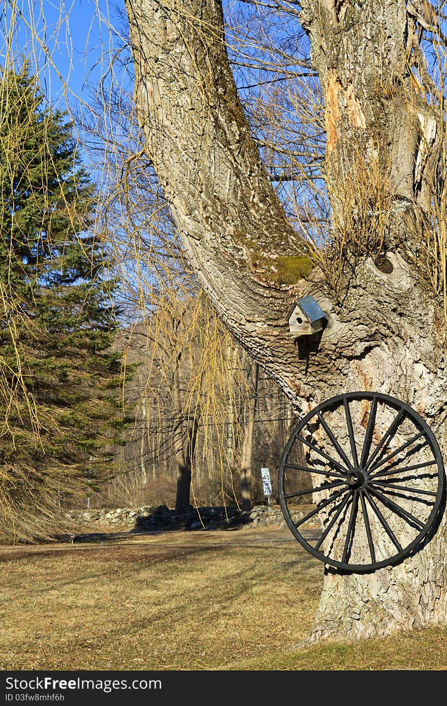 Old Town Details