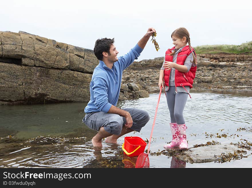 Father with daughter on beach playing with seaweed