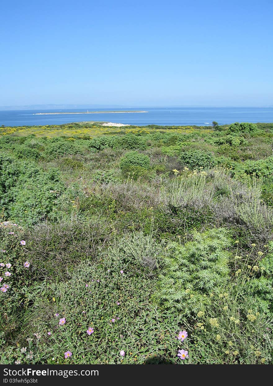 Landscape in summer in croatia. Landscape in summer in croatia