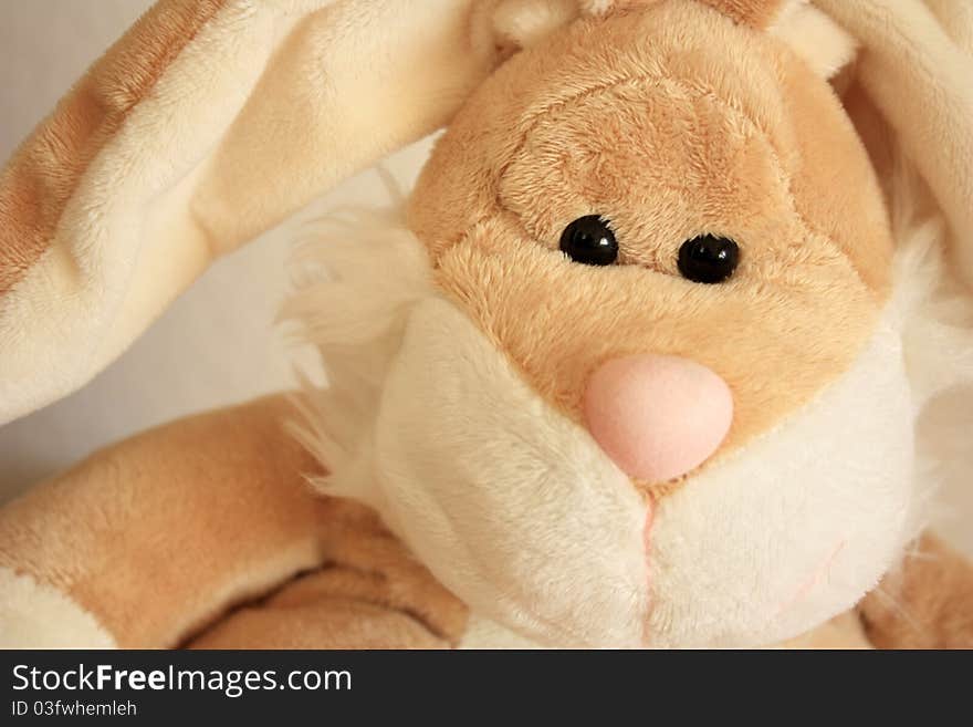 Soft toy - rabbit close up. Soft toy - rabbit close up