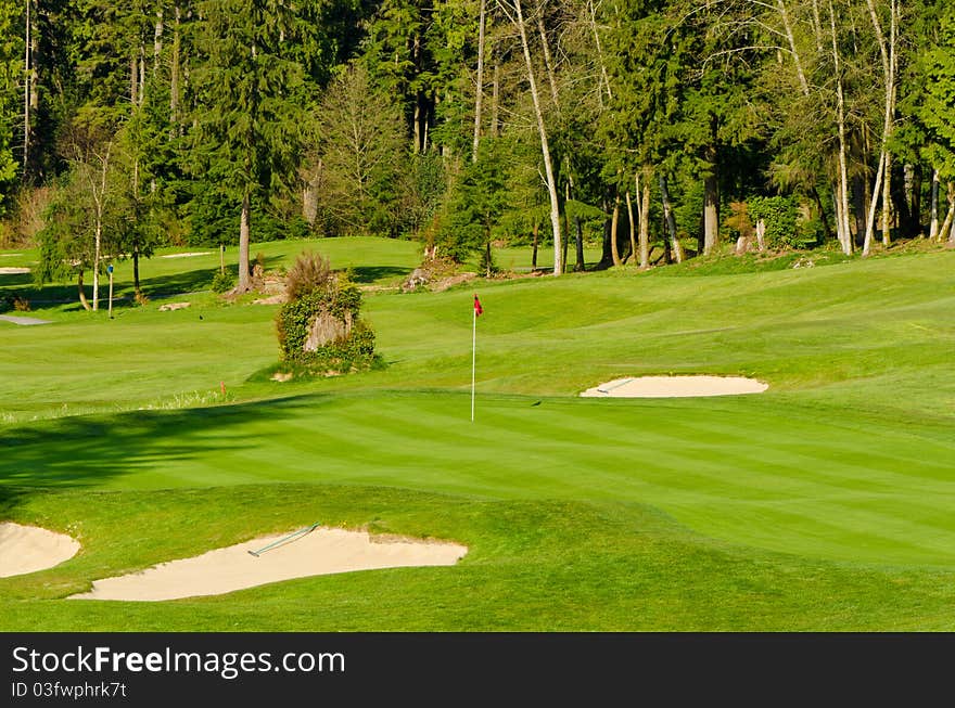 Golf place with gorgeous green and wild forest view. Golf place with gorgeous green and wild forest view.