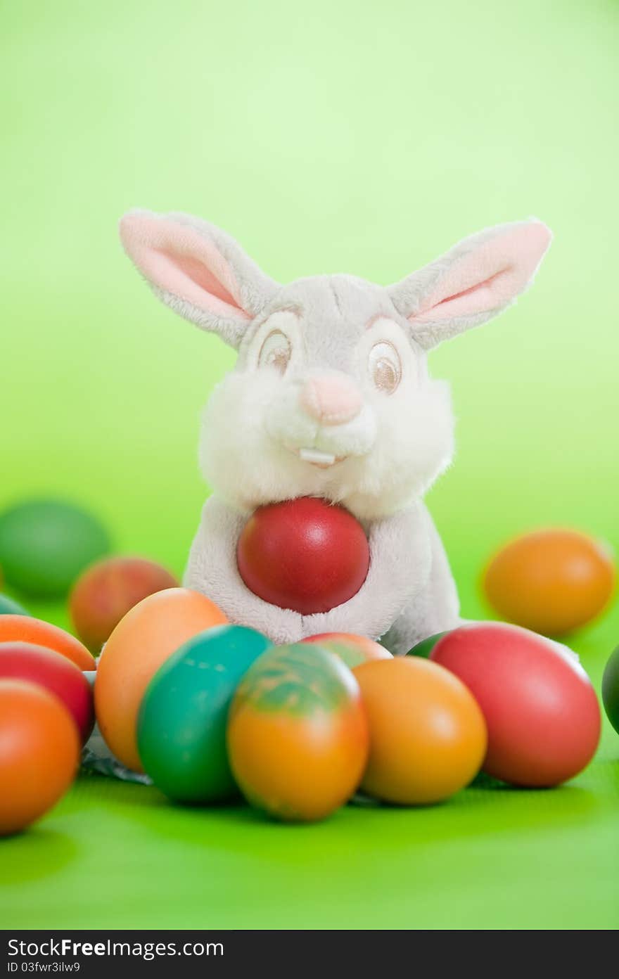 Colorful easter eggs isolated over a green background