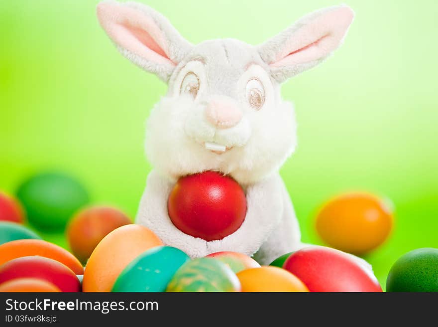 Colorful easter eggs isolated over a green background