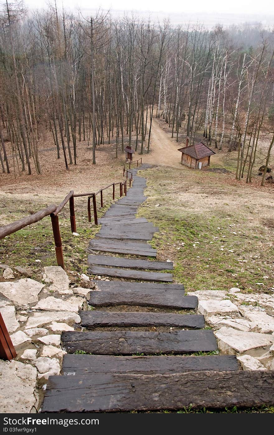 Photo of long stairs leading to forest. Photo of long stairs leading to forest